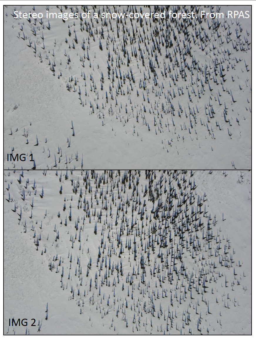 Adjacent aerial images obtained from a UAV in northern Canada, image source: Branden Walker. Used with permission.